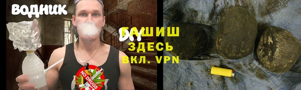 сатива Вяземский