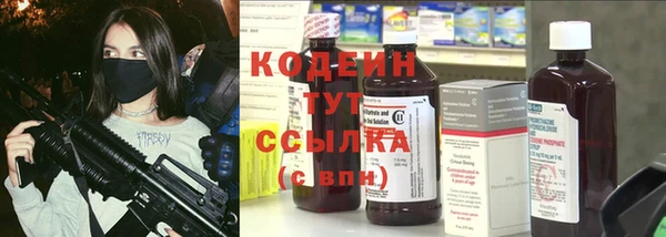 сатива Вяземский