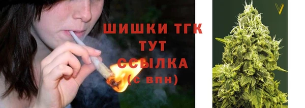 бошки Вязьма