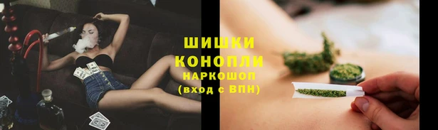 стаф Вязники