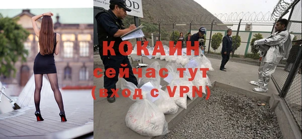 стаф Вязники