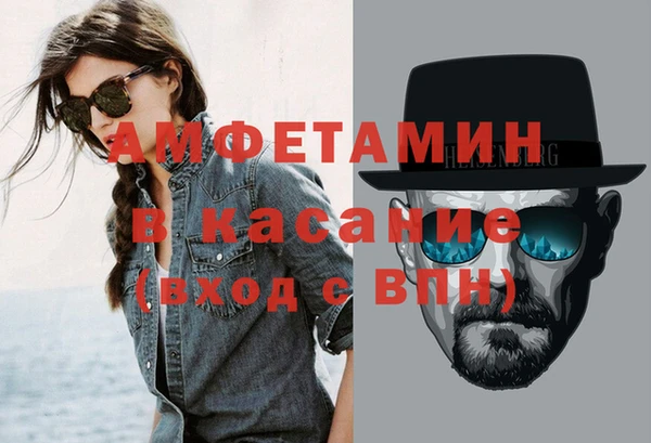 сатива Вяземский