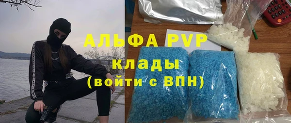сатива Вяземский